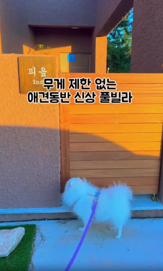 사진 2