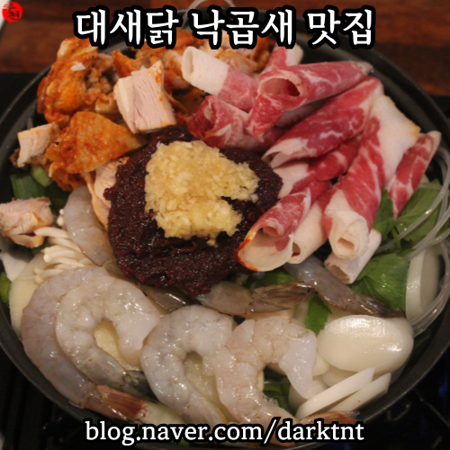 제주시 한식 제주공항 근처 시청 먹자골목 낙곱새 맛집 대새닭