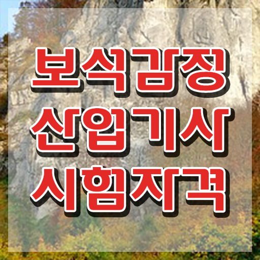  보석감정산업기사 보석감정산업기사 자격요건 인강만 듣고 간단하게 준비한 방법