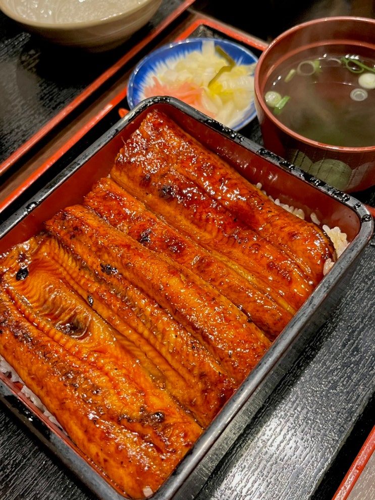  오사카 난바 맛집 가성비 장어덮밥, 니혼바시 마루에이 : 현지인 추천