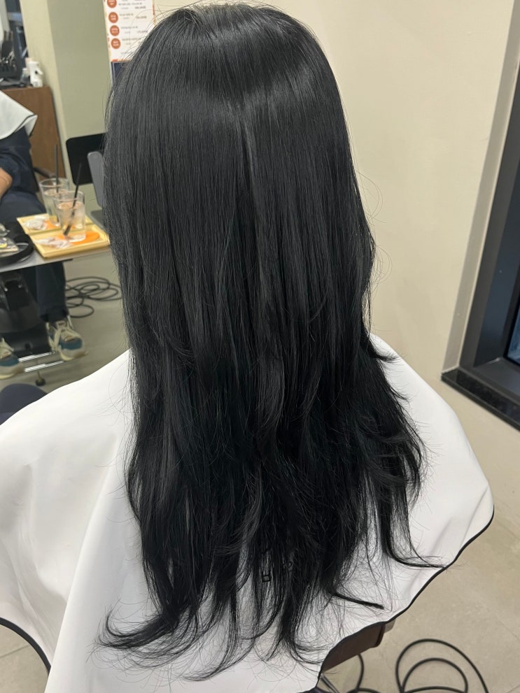  강남구청역 미용실 비오른헤어 청담점에서 탈색없이 블루블랙 염색 했어용