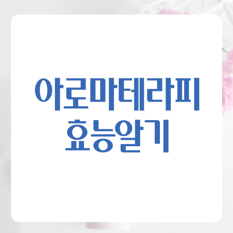  아로마뷰티diy지도사 학점은행제 , 아로마뷰티DIY지도사 자격증 20일 만에 시험준비 , 온라인 무료강의