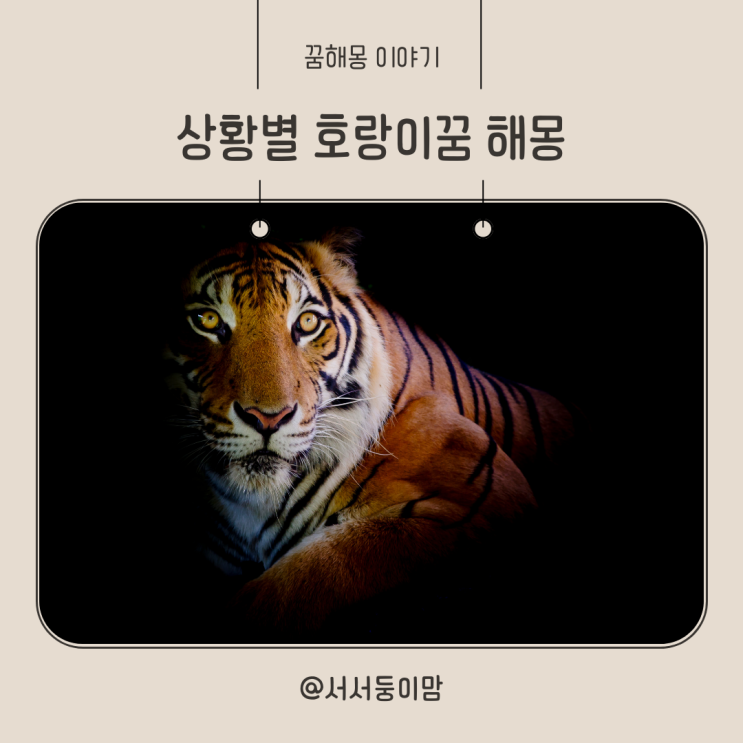  호랑이꿈 태몽일까 호랑이 보는꿈 호랑이 나오는꿈 상황별 호랑이 꿈해몽