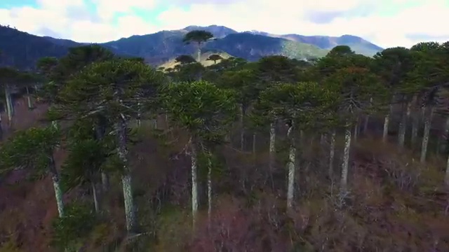  사회복지 공무원 면직 , 사회복지사2급 관련학과 아니어도 학점은행제 활용하여 수월하게