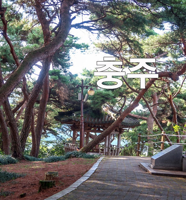 사진 2