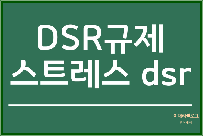  DSR 뜻,  스트레스DSR이란?