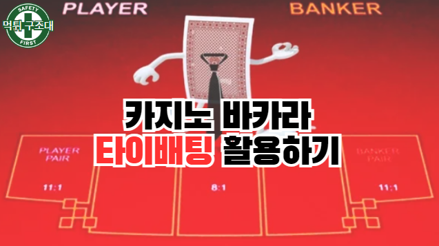  카지노 바카라 타이 배팅 활용하기
