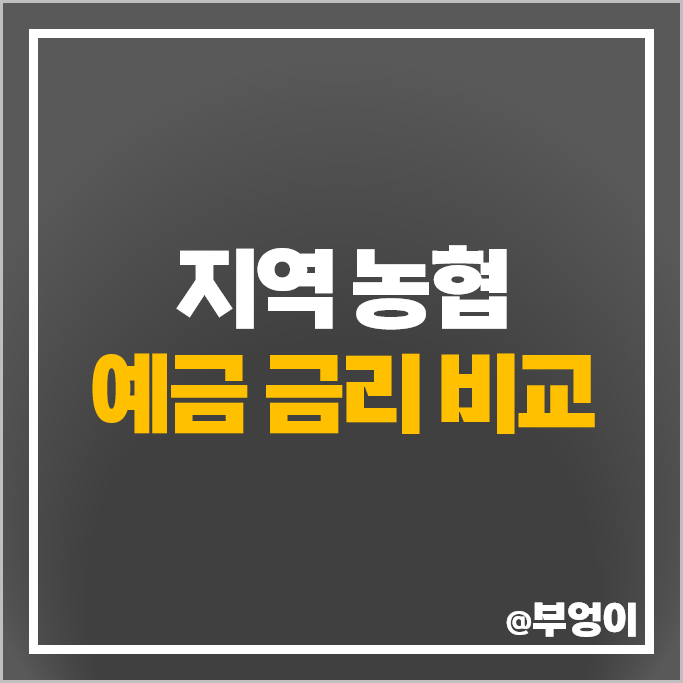 지역 농협 정기예금 금리 비교 고금리 예금 특판 추천 지역 농협 정기예금 금리 비교 고금리 예금 특판 추천