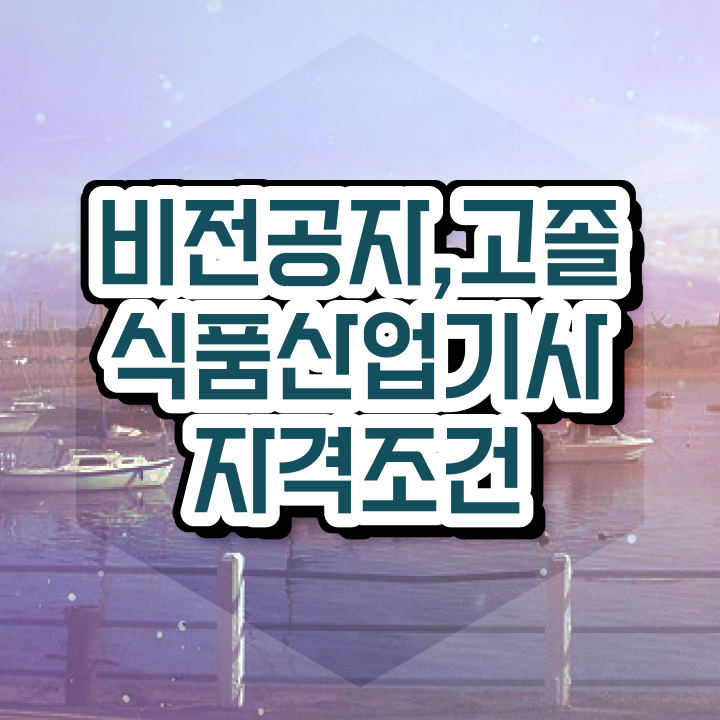 2024 식품산업기사 식품산업기사 시험자격 인강만 듣고 쉽고 빠르게 끝낸 후기
