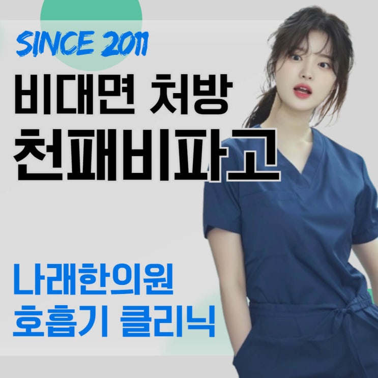  국내에서 천패비파고 파는 곳과 가격