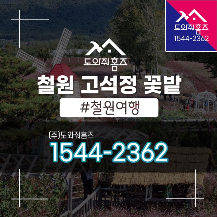  고석정 꽃밭 다녀왔어요 #철원꽃축제 #철원여행