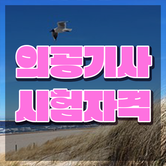  의공기사 하는일 의공기사 취득자격 집에서 온라인으로 간편하게 성공한 후기