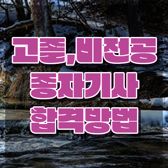  종자기사 자격요건 종자기사 응시자격 인강으로 간단하게 완료한 비법