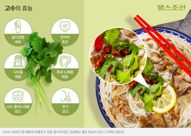 “고수 빼주세요” 앞으로는 그냥 먹어야 하나? “고수 빼주세요” 앞으로는 그냥 먹어야 하나?