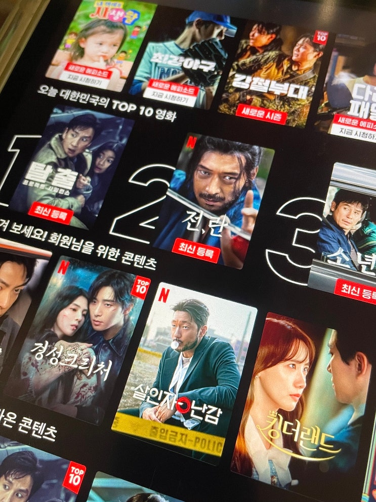 넷플릭스 스탠다드 광고 요금제 계정공유 고잉버스 이용권