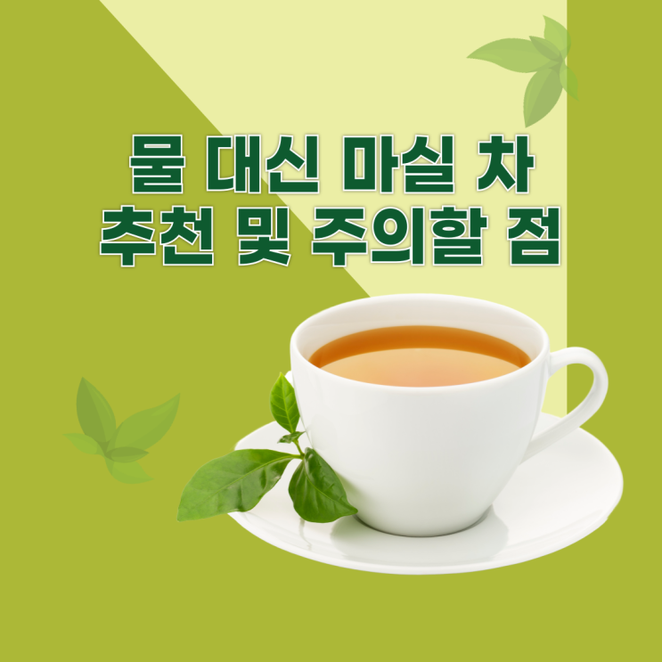  물 대신 마실 차 추천 및 주의할 점