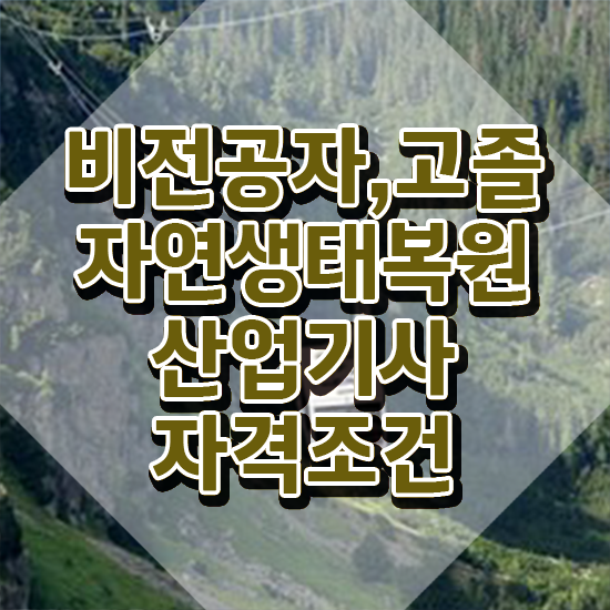  자연생태복원산업기사 준비기간 자연생태복원산업기사 응시조건 온라인으로 빠르게 성공한 전략