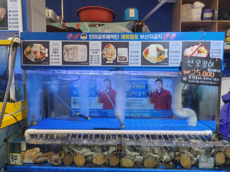  서울 노량진 횟집 부산자갈치 혜자스러운 양의 오징어회 맛집
