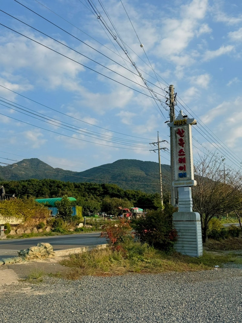 사진 2