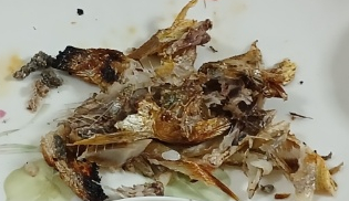  생선가시, 목에 걸렸을 때 대처법