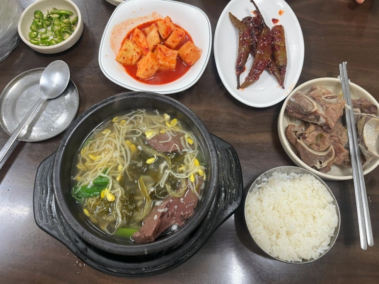  [용마해장국] 망우동 선지 해장국 중랑구 찐 맛집