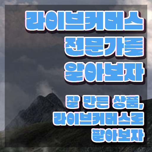  홈쇼핑 라이브커머스 , 라이브커머스전문가 자격증 직장인도 쉽게 취득한 과정 확인해봅시다