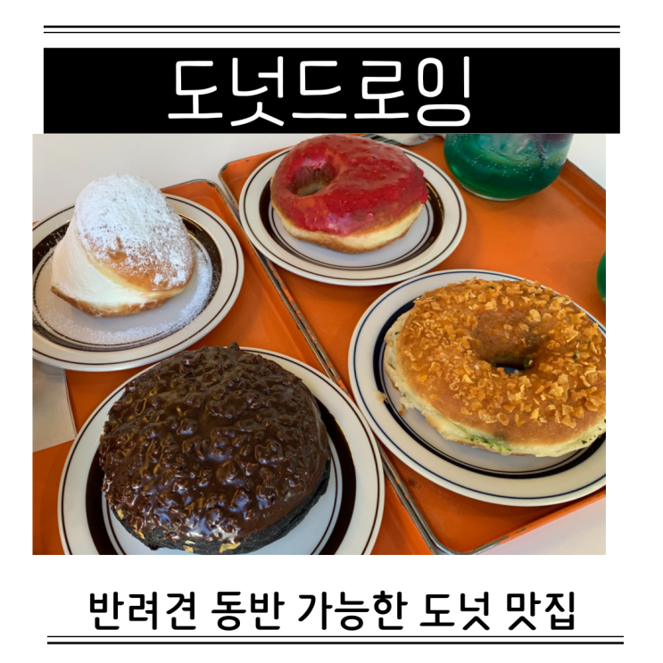  분당 미금 도넛 맛집 애견 동반 카페 도넛드로잉