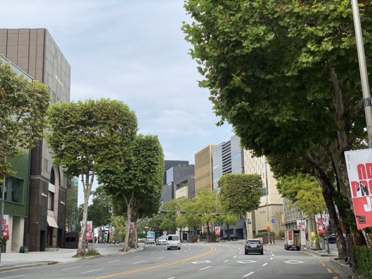  쥬베룩볼륨주사