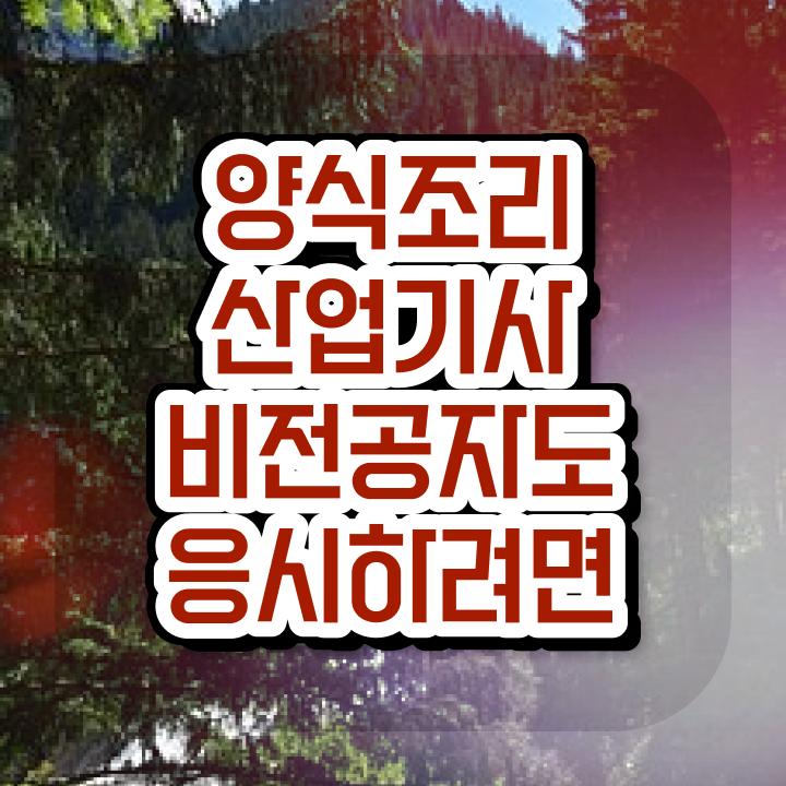  양식조리산업기사 시험응시조건 학점은행제로 단기간에 완료한 노하우