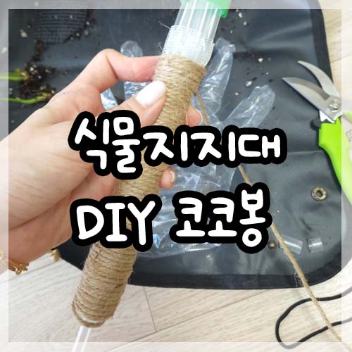  열대관엽식물 식물지지대 코코봉 만들기 DIY