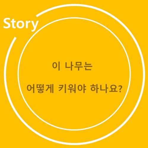  나무키우기에 도움을 주세요