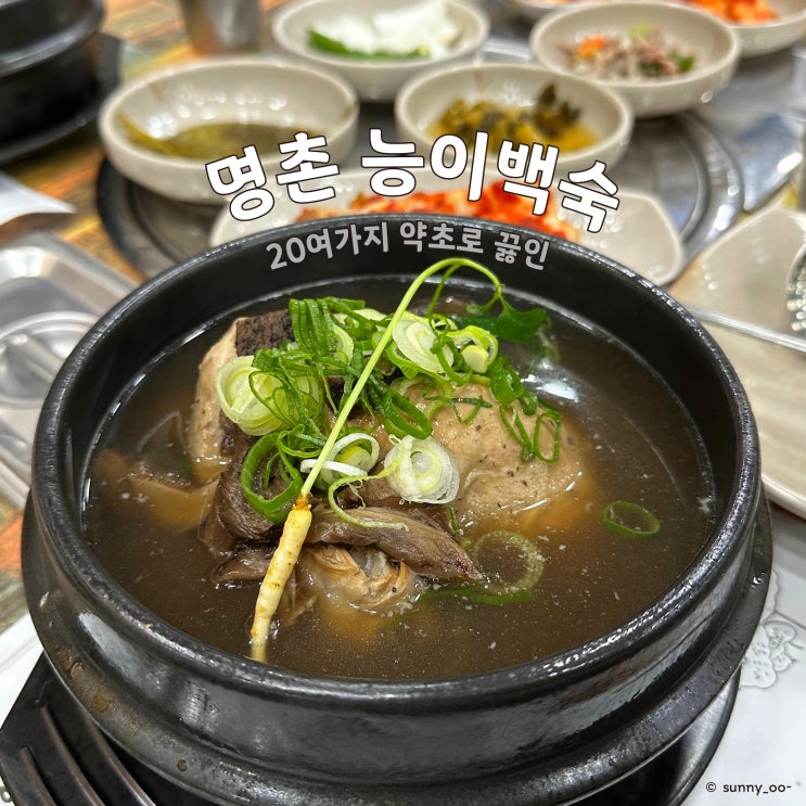 [울산백숙맛집] 사계절 보양식, 20여가지 약초 국물이 진하고 몸보신에 좋은 명촌능이백숙
