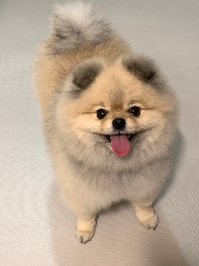 사진 3