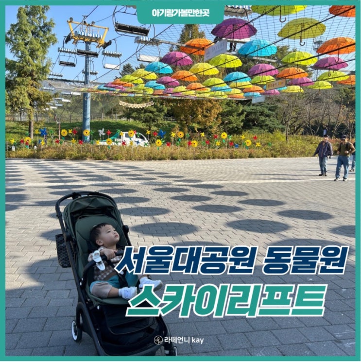  23개월 아기와 과천 서울대공원 동물원 스카이리프트 타고 구경하기