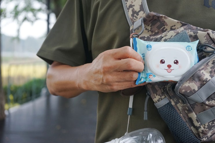  강아지 물티슈 산책할때 챙기는 순둥이와 댕댕이.