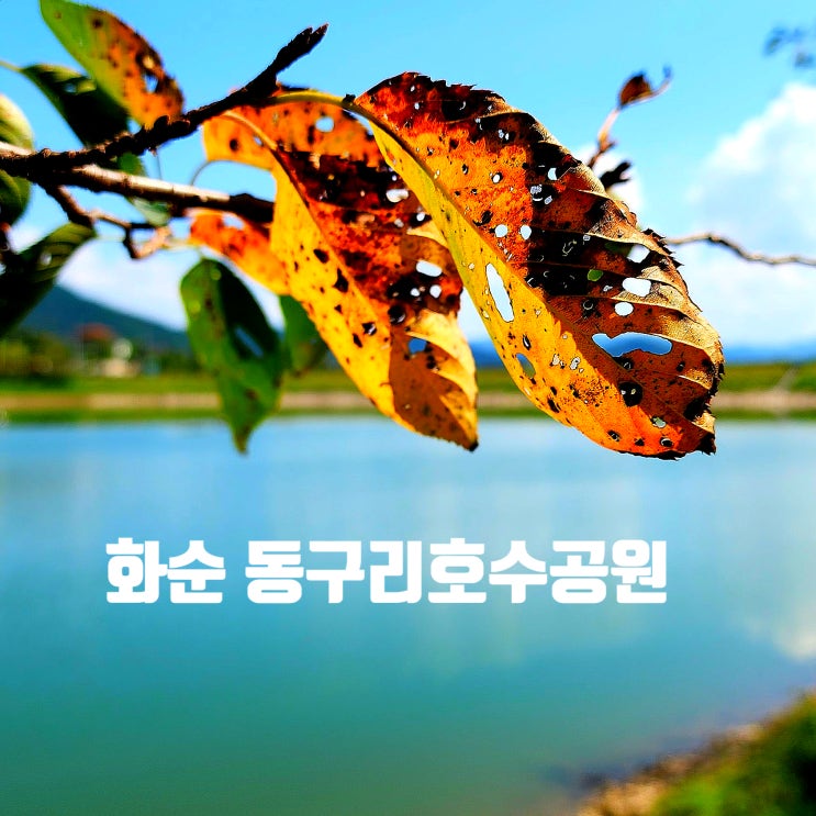 〔전남화순〕화순 동구리호수공원-반려견과 걷기 좋은 곳-만연산권역 안내도