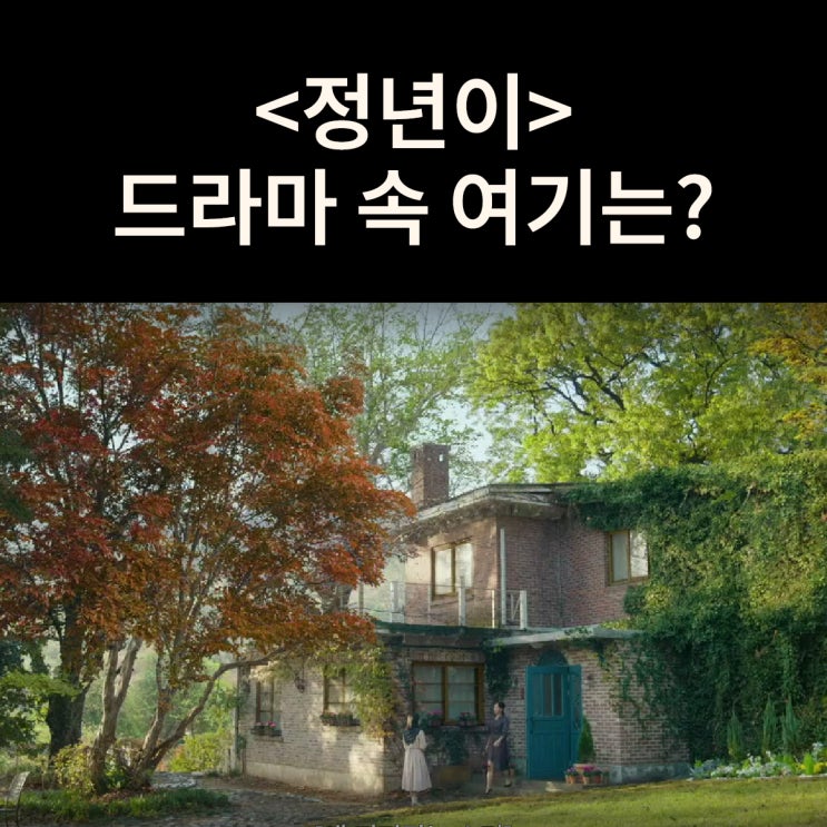  노래선생님 패트리샤김의 집은? 광주 양림동 호랑가시나무언덕 게하 드라마 정년이 촬영지
