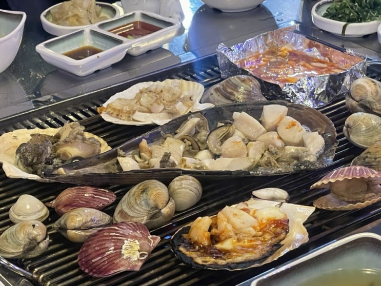  종로 통영항바다생협, 서울 조개구이 맛집 솔직한 후기