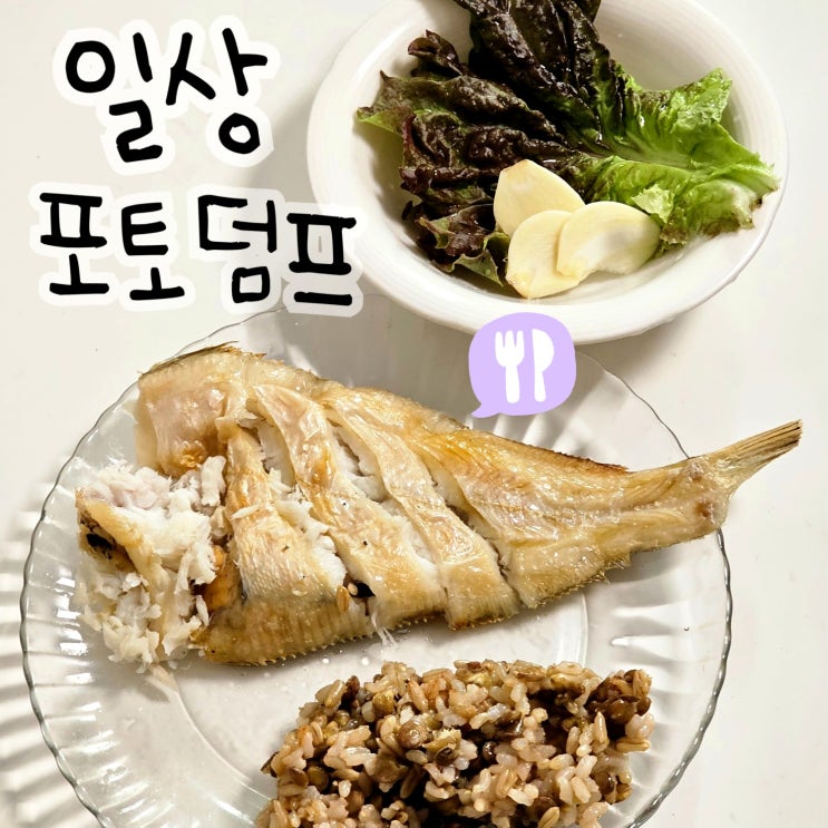  뭐 먹고 살았니? 블챌 마지막 블로그 챌린지 일상 포토덤프