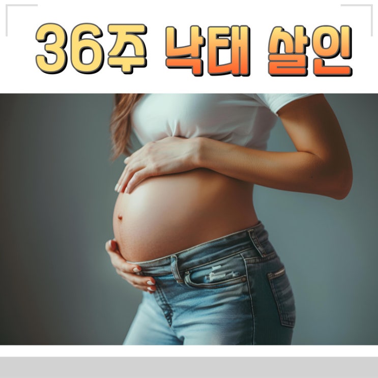 유투버 36주 낙태 살인 혐의 사회적 파장