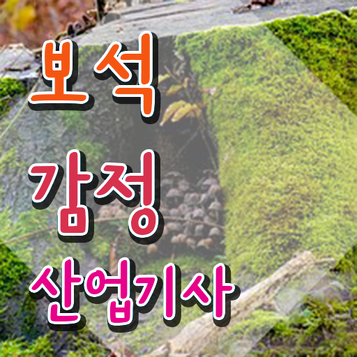  보석감정산업기사 전공 보석감정산업기사 응시조건 인강으로 간편하게 성공한 방법