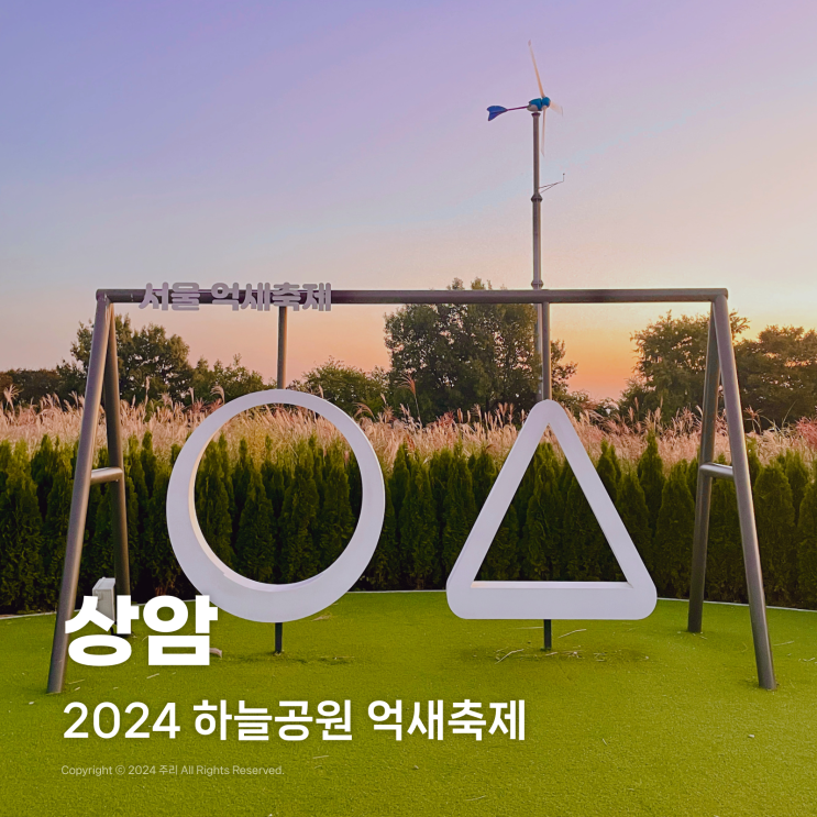  2024 하늘공원 억새축제 기간 맹꽁이 전기차 주차장 정보 애견동반