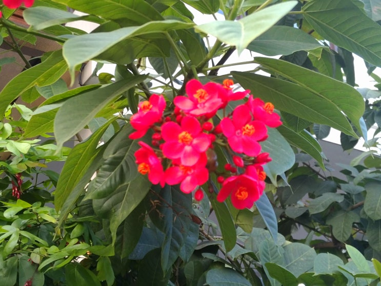 <b>김민석</b> DJ라면 김정은에 동조 안해 임종석 2국가론 <b>저격</b>