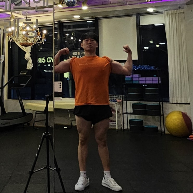 머슬핏 상체 티셔츠 팔뚝 241021 이두 삼두 팔 운동 머슬핏 상체 티셔츠 팔뚝 241021 이두 삼두 팔 운동