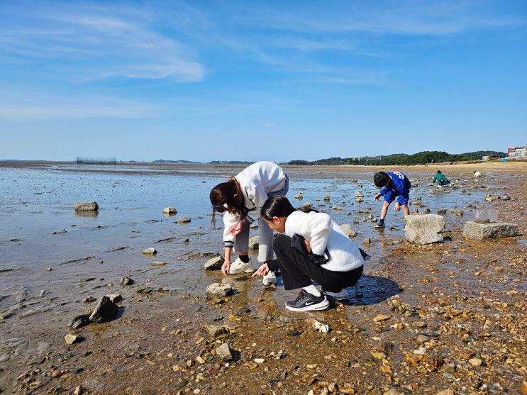  화성 가볼만한곳 궁평항 수산시장 유원지 서해갯벌체험 궁평리해수욕장