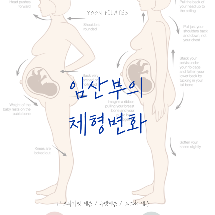  [춘천필라테스]임산부의 임신중 전체적인 체형변화(춘천 임산부 통증 및 운동)