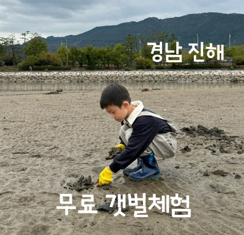 경남 부산근교 창원 진해 무료 갯벌체험 해루질 조개잡이 해루질포인트 무료화장실 씻을곳 ....