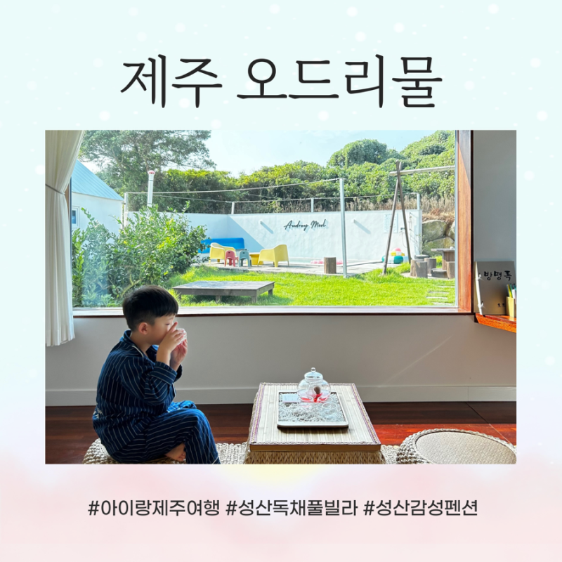 아이랑 제주 여행 , 풀장과 자쿠지가 있는 성산감성펜션 오드리물