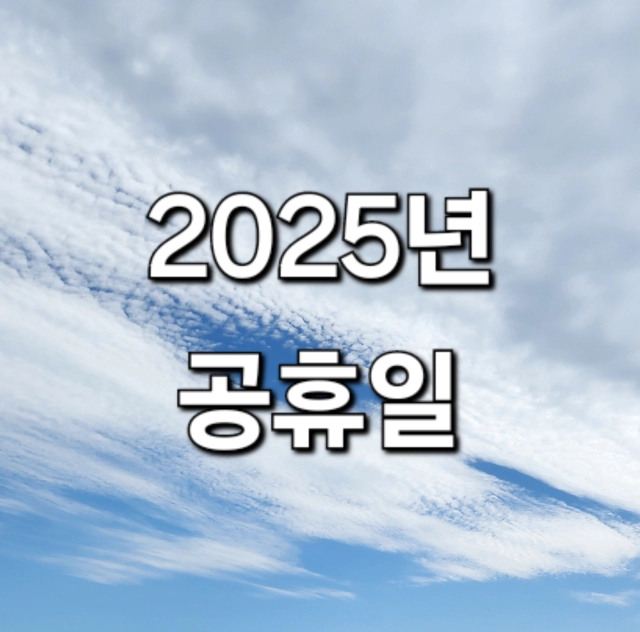  2025 공휴일