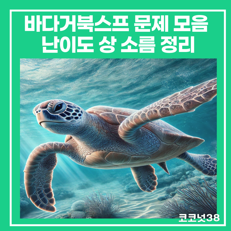 바다거북스프 문제 모음 난이도상 소름 정리 : 네이버 블로그